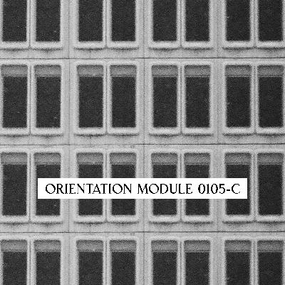 Timeline Linearity | Module 0105-C