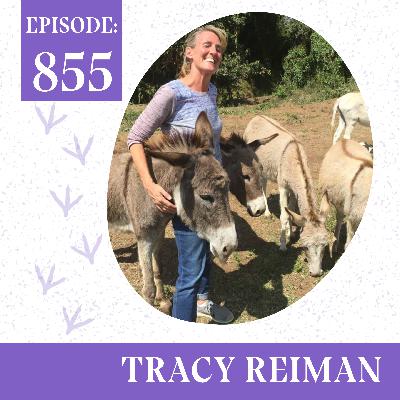 What’s Next for Animals with Tracy Reiman, PETA’s New President