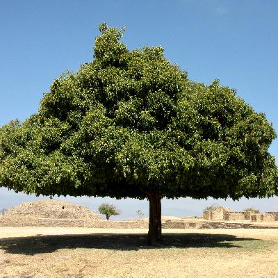 من سورة يوسف للقارئ خالد الجليل من سورة يوسف للقارئ خالد الجليل