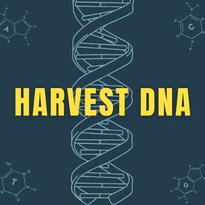 Parents and Children (Ephesians 6) Parents and Children (Ephesians 6)