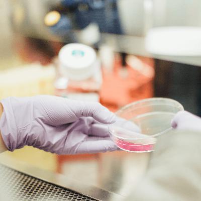Lo verdaderamente divertido es hacer Ciencia Lo verdaderamente divertido es hacer Ciencia