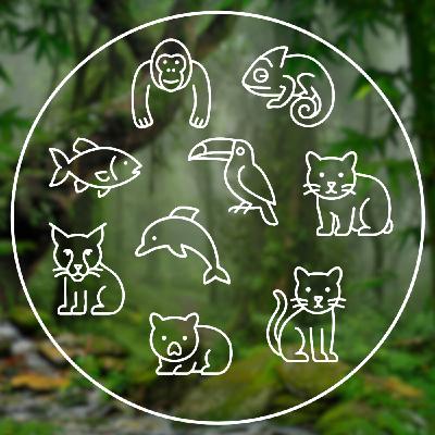 📢 Les voix du Digital Learning : l'arche de Noé 🐻🦁🐙🐝🦥