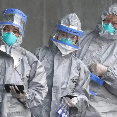 006. Le corona virus