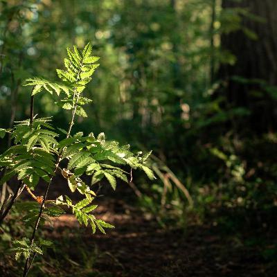 Le Carême : Et si on arrêtait de se priver pour rien ? Le Carême : Et si on arrêtait de se priver pour rien ?