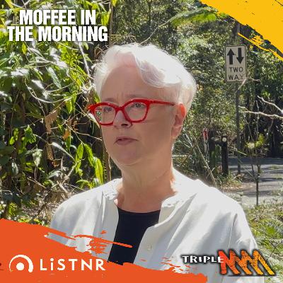 Minister Penny Sharpe Joins Moffee to Talk About the Great Koala National Park