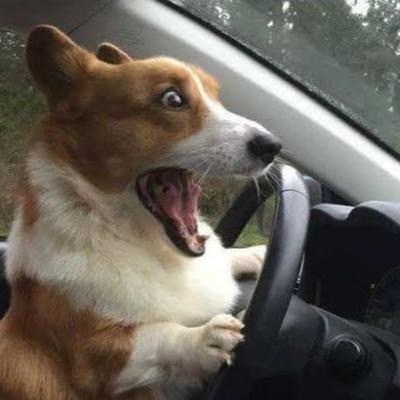 Listen if you want to...🤔I'm the weird yet amazing girl next door yall Listen if you want to...🤔I'm the weird yet amazing girl next door yall