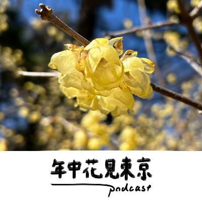 〈ゲスト：丸岡雅弘〉フォークソングであたたまる寒波のお花見【#43】