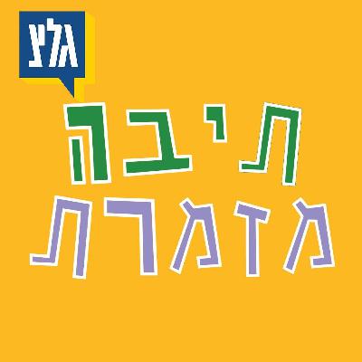 תיבה מזמרת - תחרות השירים הגדולה