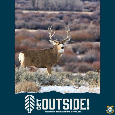 Upper Powder River Mule Deer Study