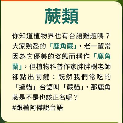 EP49 【跟著阿傑說台語】蕨類 EP49 【跟著阿傑說台語】蕨類