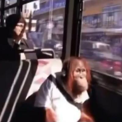 male feminism and my athleticism