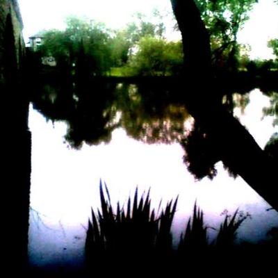 Stanley Ulijaszek on Swimming and Summer Solstice Rituals