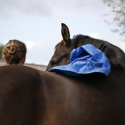 Hoe start je met grondwerk?