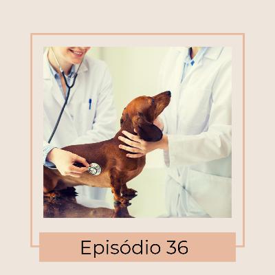 Especialidade veterinária: Oncologista