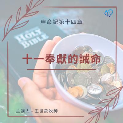 十一奉獻的誡命｜晨禱讀經 Ep.450｜申命記 14:22-29