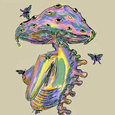 "Metamorphosis"