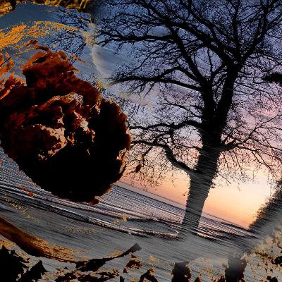 #57. Mit liv i mol #57. Mit liv i mol