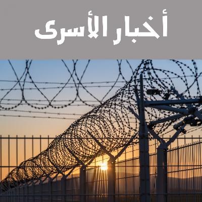 نشرة اخبار الاسرى 13-08-2024 نشرة اخبار الاسرى 13-08-2024