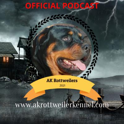 Caring for your Rottweiler