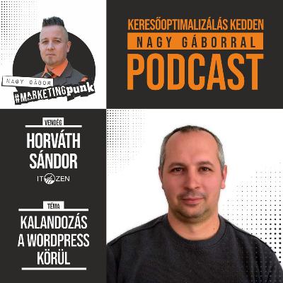 KKNG #031 | Vendég: Horváth Sándor ITZen alapító | Keresőoptimalizálás Kedden Nagy Gáborral podcast