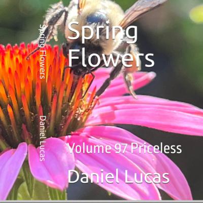 Spring Flowers Volume 96 Priceless by Daniel Lucas