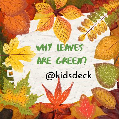 Why leaves are green?