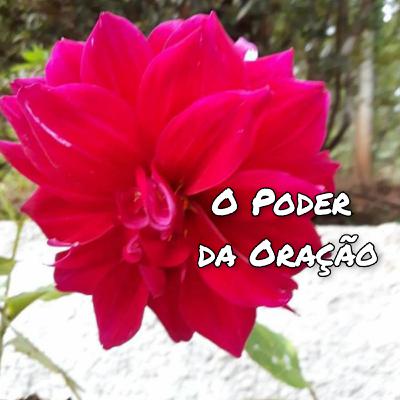 O Poder Da Oração