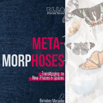 Metamorphoses- Transitioning to new phases and spaces Metamorphoses- Transitioning to new phases and spaces