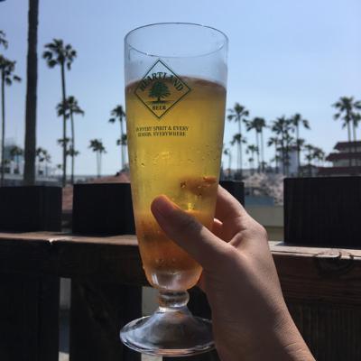 真夜中のどうでもいい話を始めます