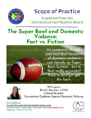The Super Bowl and Domestic Violence: Facts vs. Fiction The Super Bowl and Domestic Violence: Facts vs. Fiction
