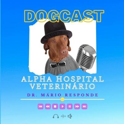 Coaching through change with career & relocation coach Lynn Wagner