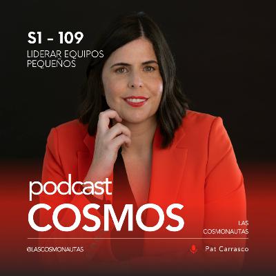 Liderar equipos pequeños