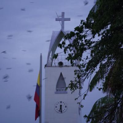 16.去亚马孙雨林徒步，我一无所获，除了巨型大蟑螂