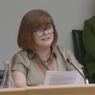 Reaction to CHI at the Oireachtas Committee