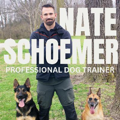Ep. 19 - Struggling With Your Dog? Get Help from Pro Trainer Nate Schoemer