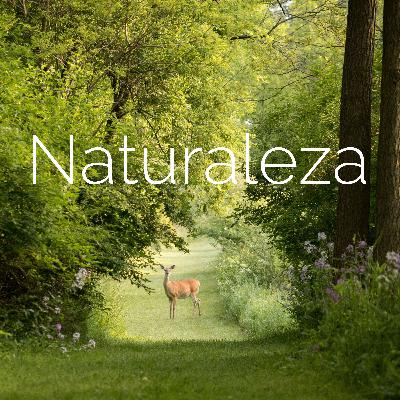 Naturaleza  (Trailer)