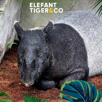 Süchtig nach Zärtlichkeiten