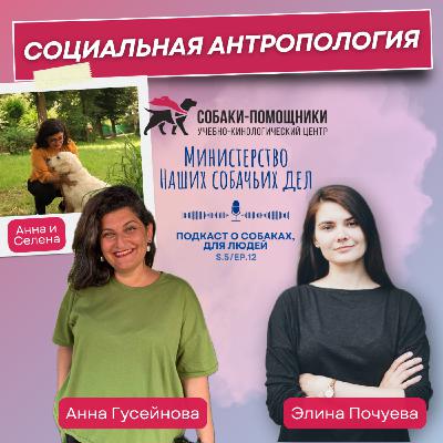 Анна Гусейнова: социальная антропология