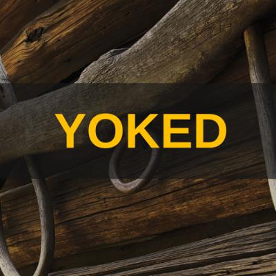 Yoked Week 4 Chris