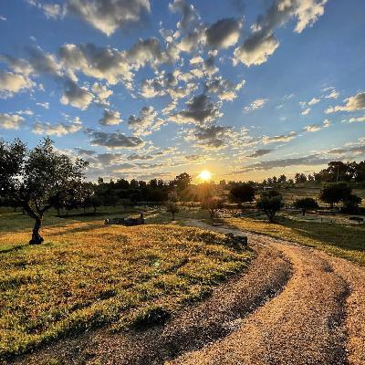 Ep 57: Intro To Residential Solar Power