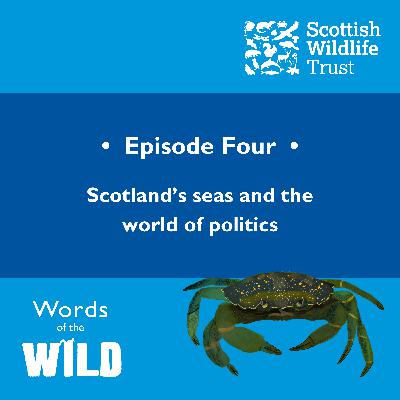 Scotland’s Seas and the World of Politics
