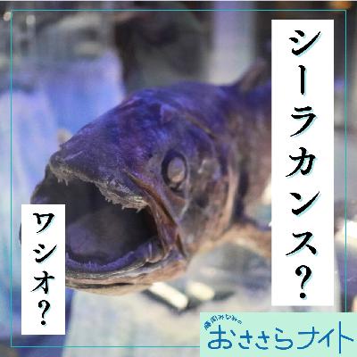 <OA>2026年1月17日放送 <OA>2026年1月17日放送