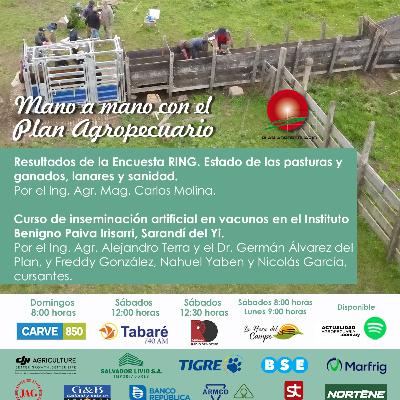 Resultados Encuesta RING. Curso de inseminación artificial en vacunos.