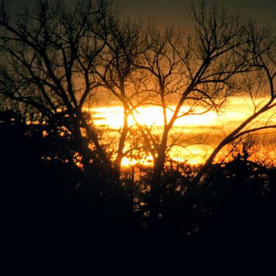 FREELY GIVEN FREELY GIVEN