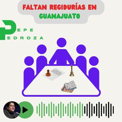 Faltan Regidurías en Guanajuato. Faltan Regidurías en Guanajuato.