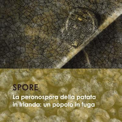 La peronospora della patata in Irlanda: un popolo in fuga