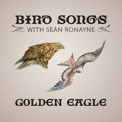 Golden Eagle | Bird Songs with Seán Ronayne Golden Eagle | Bird Songs with Seán Ronayne