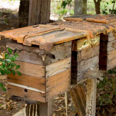 Aula 5 – Como começar uma criação