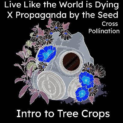 Tree Crops Cross Pollination with Live Like the World is Dying