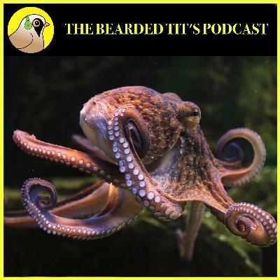 Octopus Numbers Exploding in England ft Simon Thomas #175